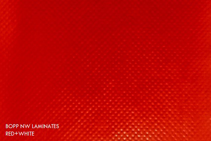 BOPP Laminates Fabric